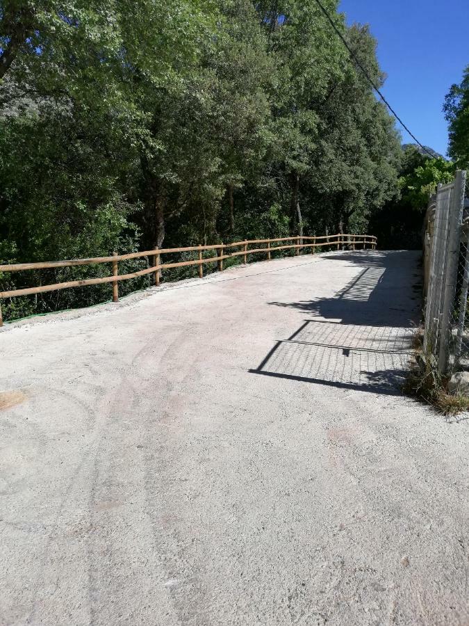 Alojamientos Rurales Vado Ancho La Encina Arroyo Frío Extérieur photo