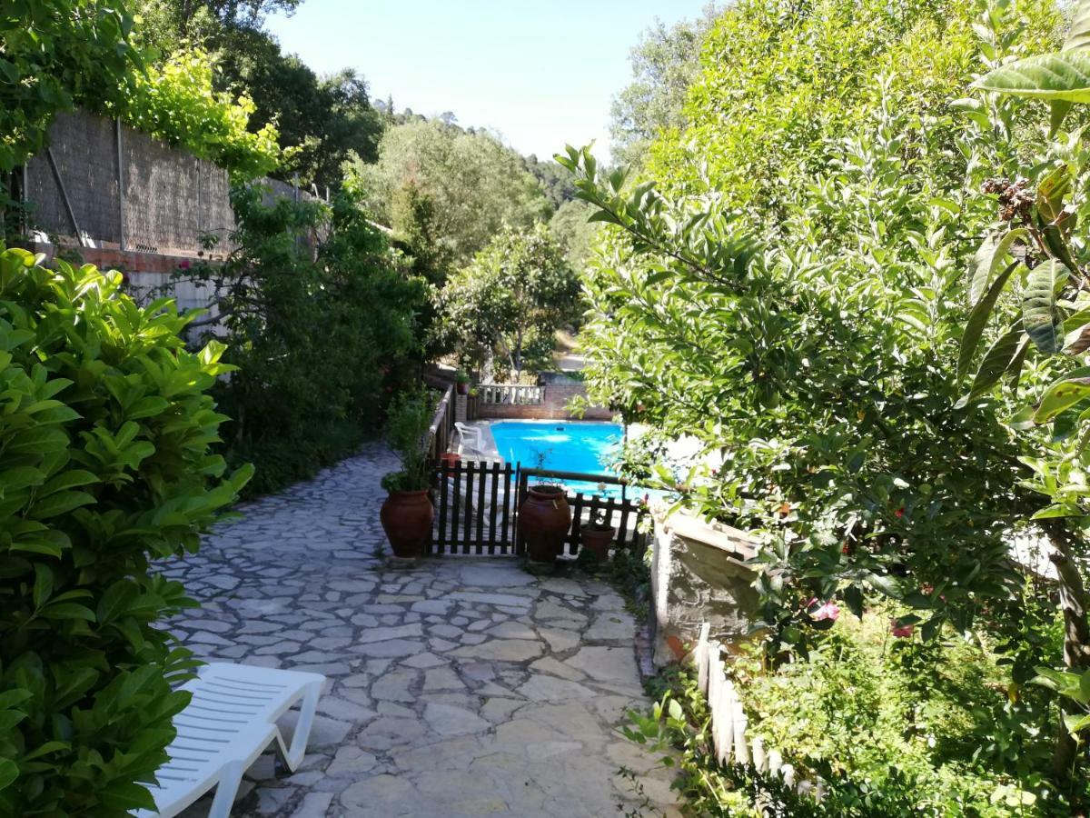 Alojamientos Rurales Vado Ancho La Encina Arroyo Frío Extérieur photo